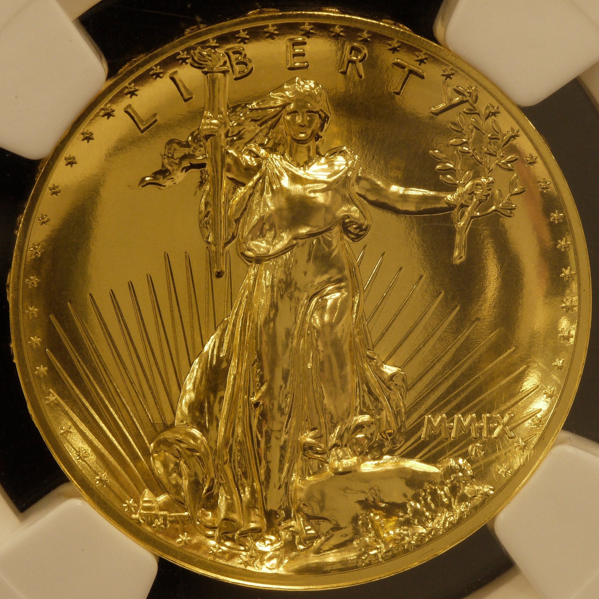 1170010.jpg?v=1753418818&width