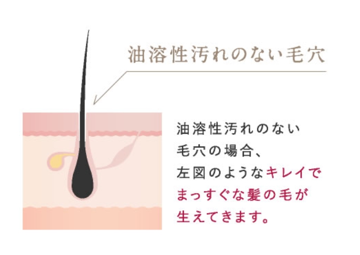 95EB9776-68E1-4D8E-9EA2-