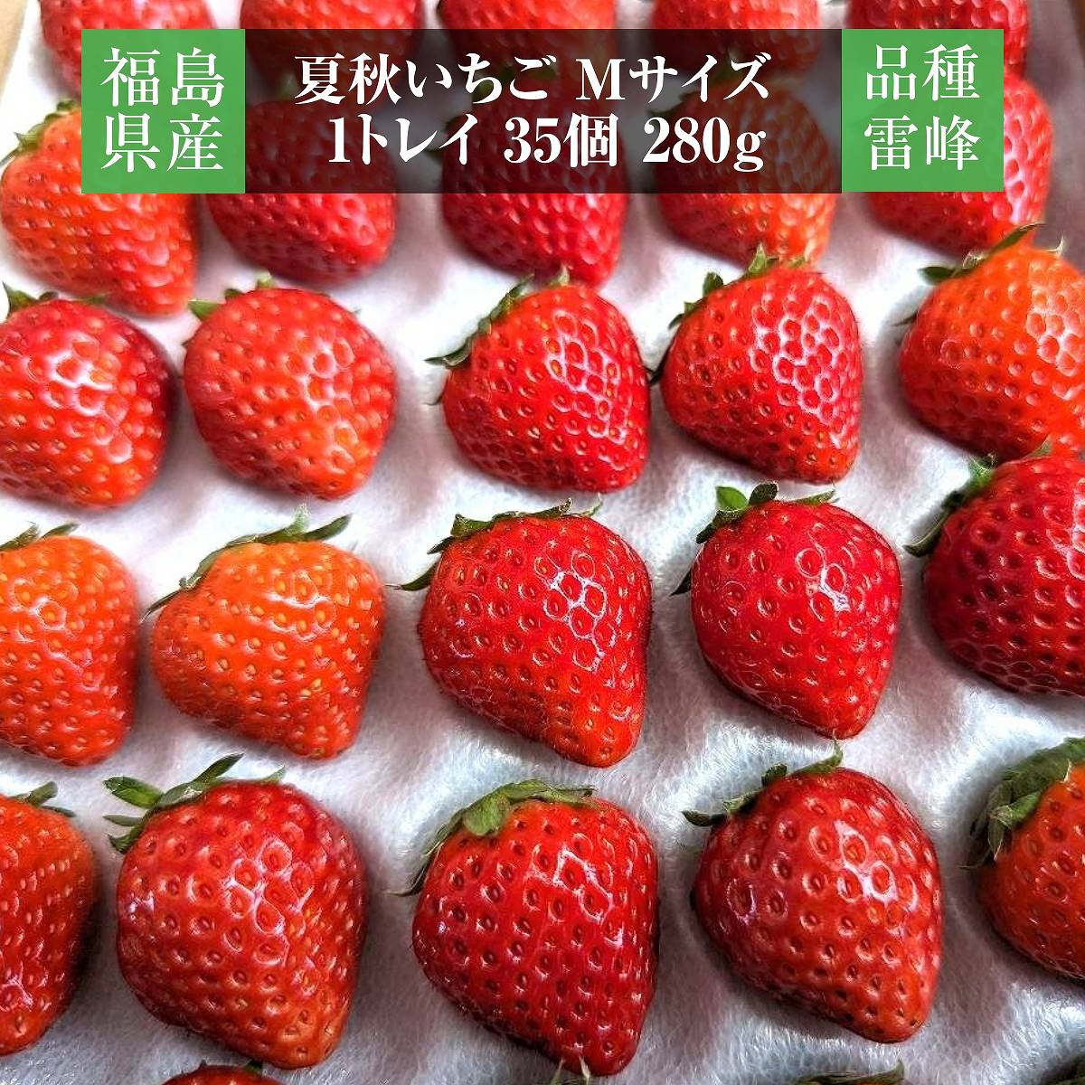 いちご 夏いちご 雷峰 4480g 小 M （560g 35×2P 70個)×8箱 秀 福島