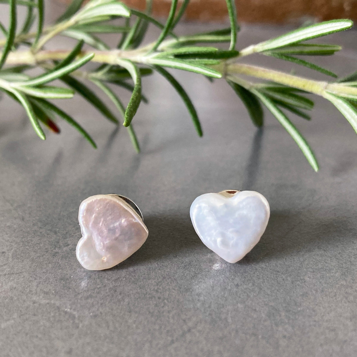 IMG_4794_1200x1200.jpg?v=