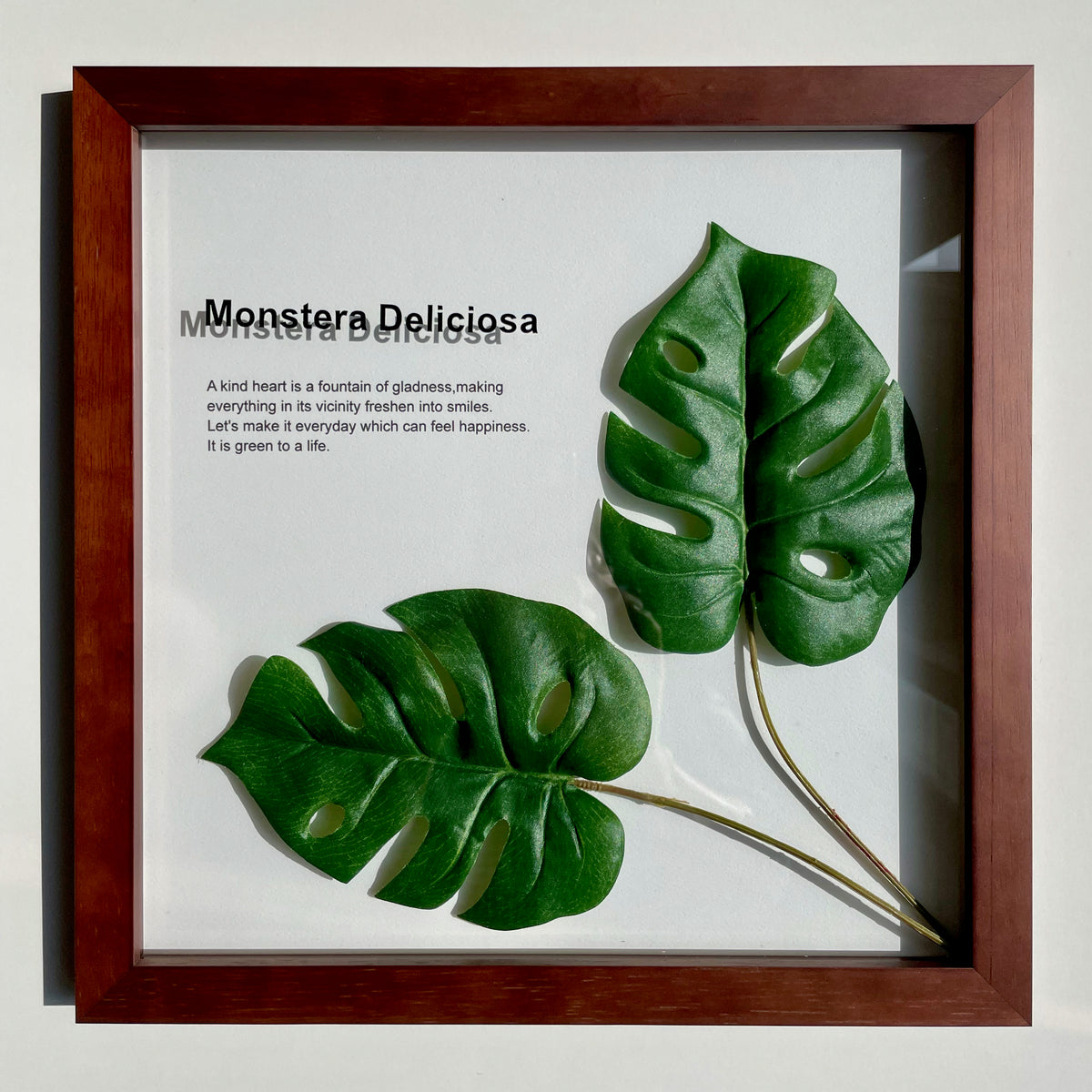 IMG_2320_1200x1200.jpg?v=