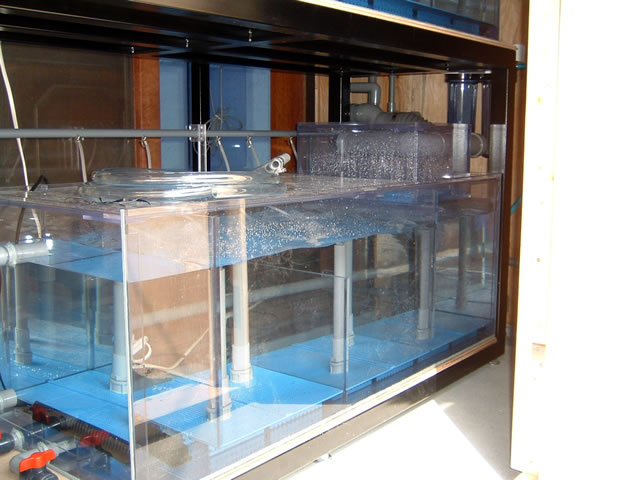 二段式サイドオーバーフロー水槽 アクリル水槽、オーバーフロー水槽の