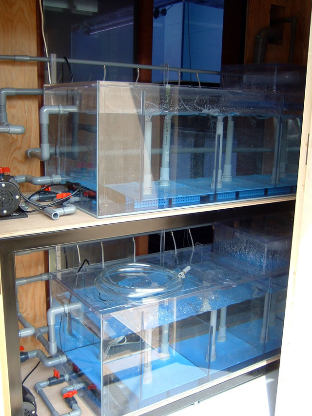 二段式サイドオーバーフロー水槽 アクリル水槽、オーバーフロー水槽の