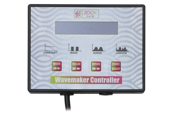 Fantastic Wave | 生麦海水魚センター別館