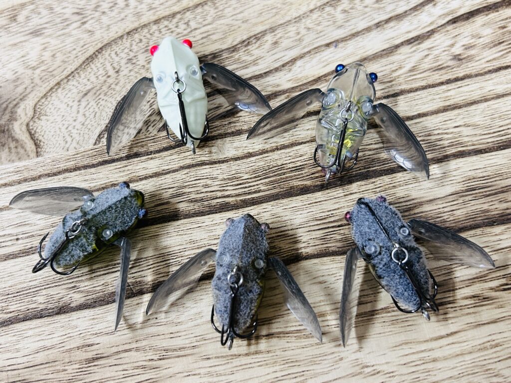 シグレ祭り】メガバスの今が旬の蝉ルアーが各種入荷！ - 道東の釣り
