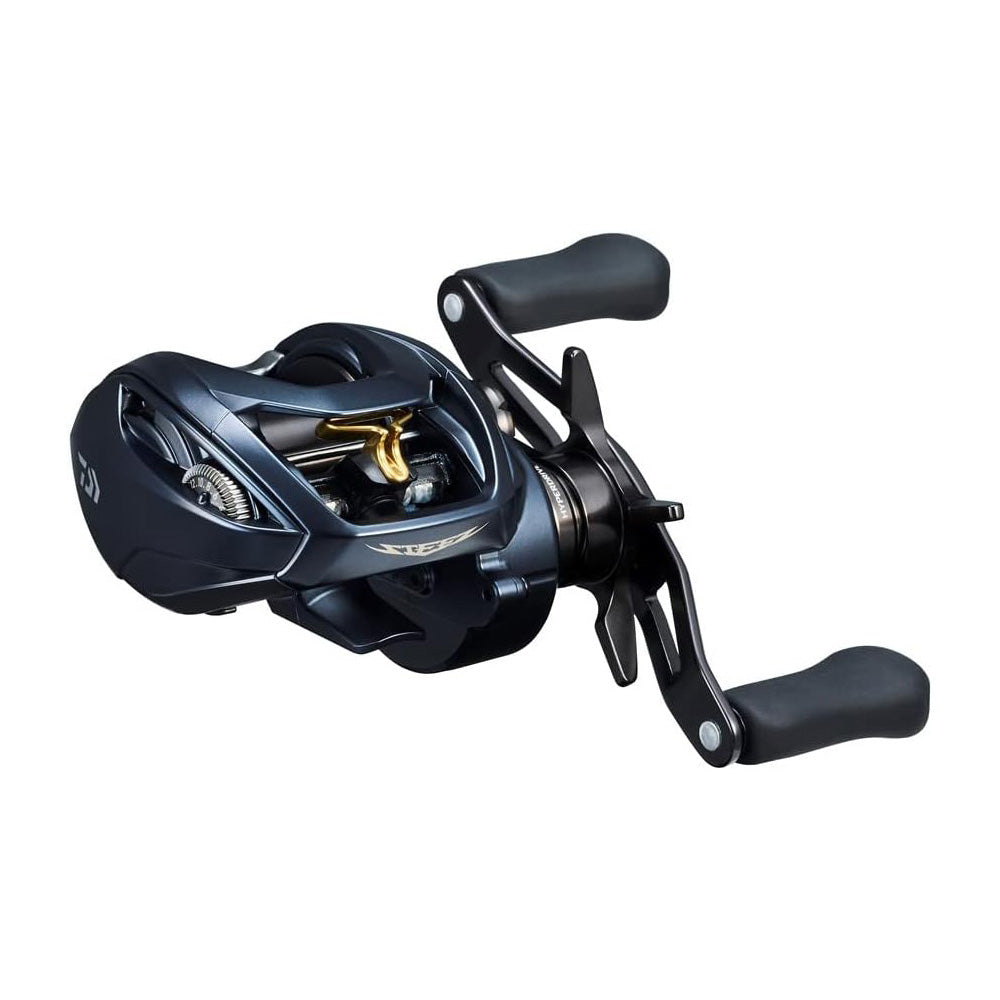 Daiwa STEEZ A II TW 1000HL – Circle Fish Store