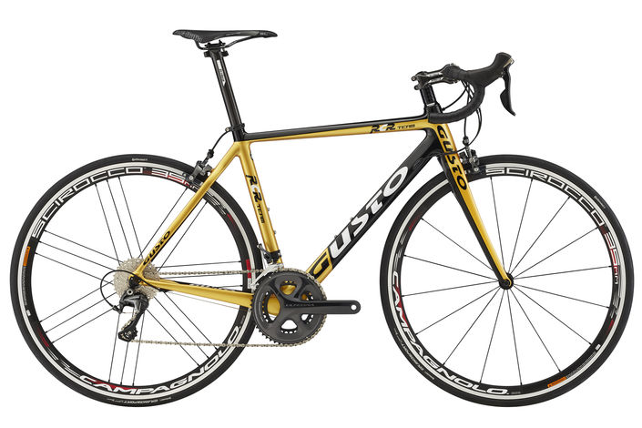 Gusto RCR Team Limited 2017 - Specifications | Reviews | Shops