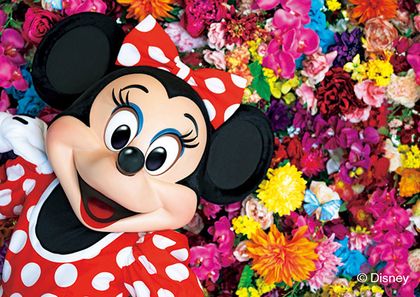TOKYO DISNEY RESORT Photography Project Imagining the Magic