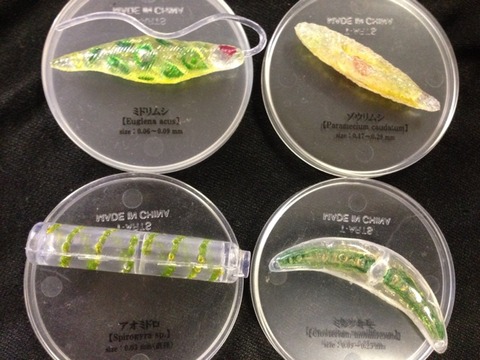 科学ガチャ①-1「不思議生物大百科極小の共存者 微生物」 | ふたばの