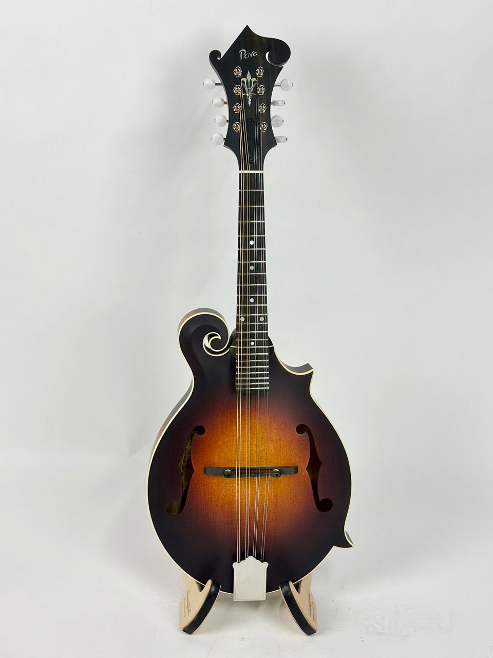 Pava F5 Satin – Fiddler's Green Music Shop