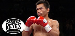 GRIT BIG MITT KICK SHIELD ビックミット キックミット | 競技別商品