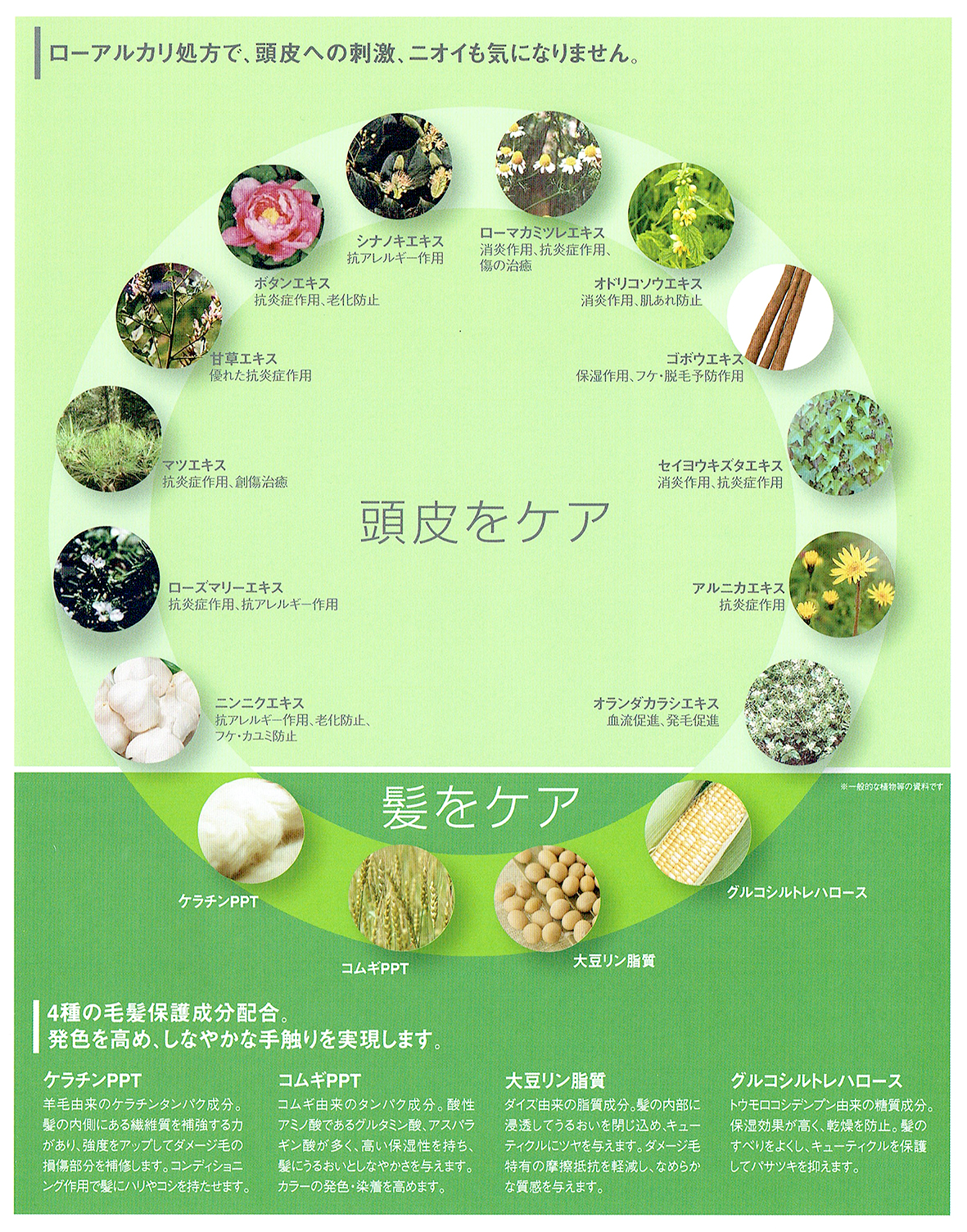 美容室専売品卸/通販 IDC-BeautyHair / フィヨーレ BLカラー [V10] (120g)