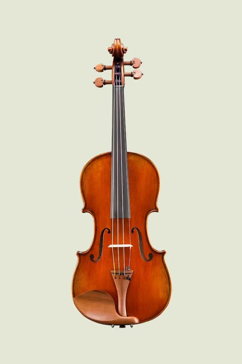 Andreas Eastman VL405v (Premier Upgrade) — Vermont Violins