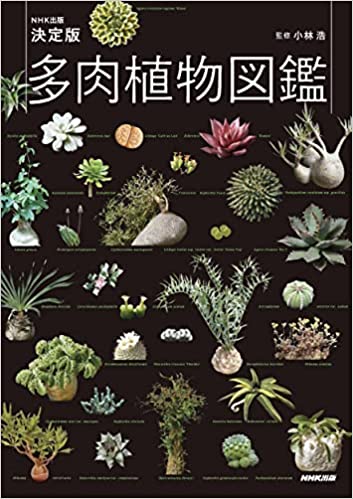 国際多肉植物協会