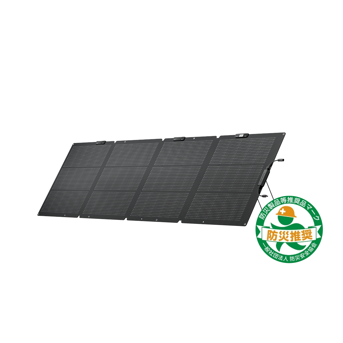 EcoFlow 220W両面ソーラーパネルGen2| EcoFlow Japan