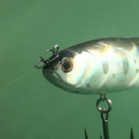 VAGABOND SWIM HUSTLER 6” Floating ヴァガボンド スイムハスラー6