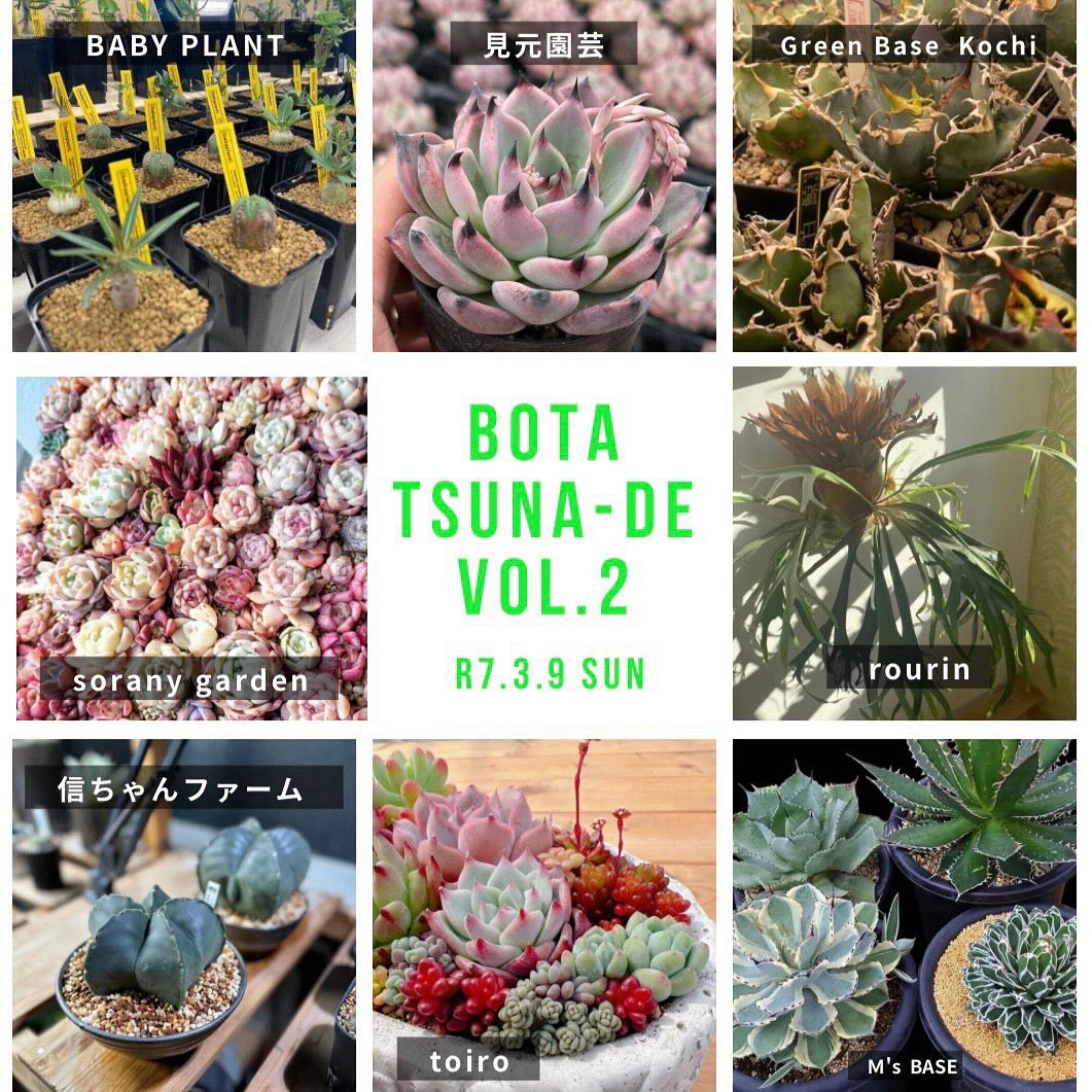 もりたうつわ製作所が土佐市で植物イベントBOTA-TSUNADE vol.2を開催