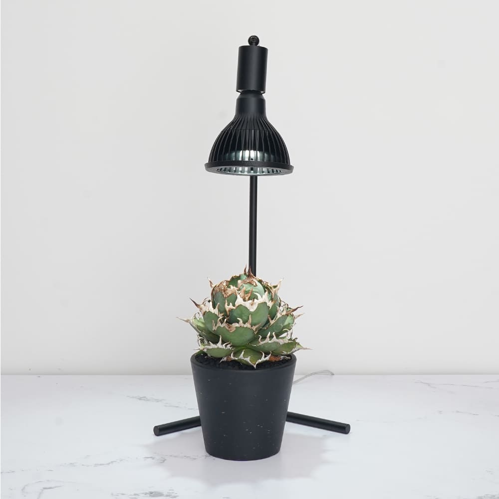 値下げしました。稲嶺盛吉 初期のランプスタンド(大型) 値下げしました