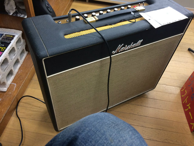 ☆ブルースブレーカーに振り回された一日 : ジナパパ一家の何てこと