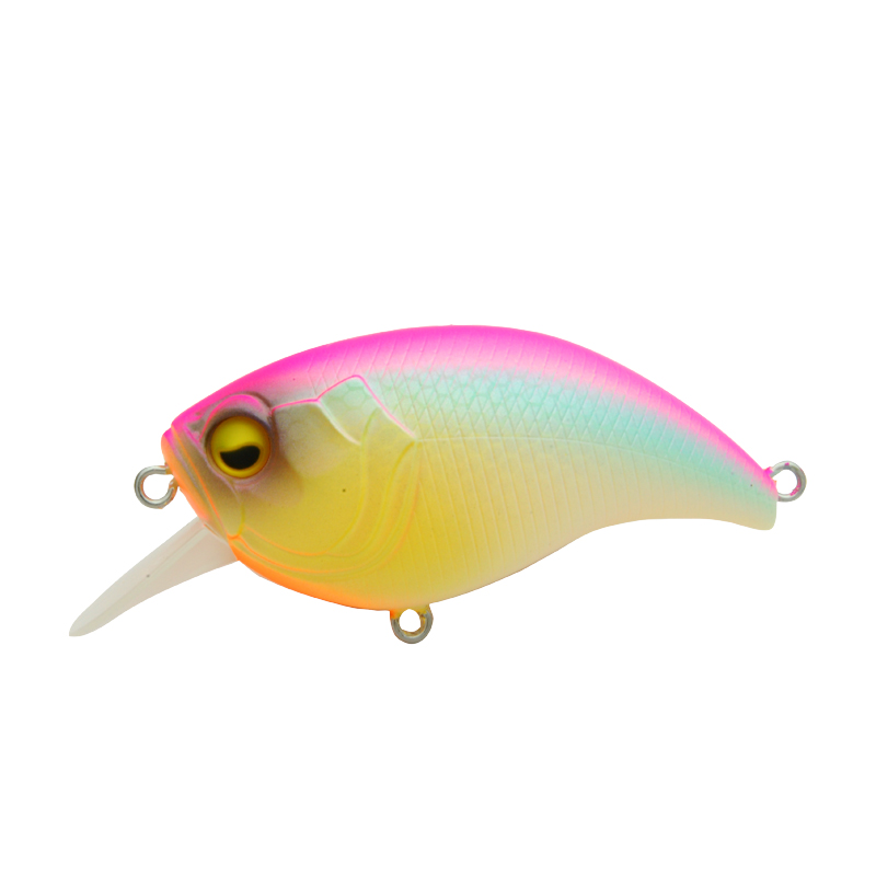 LEVEL CRANK | RAID JAPAN