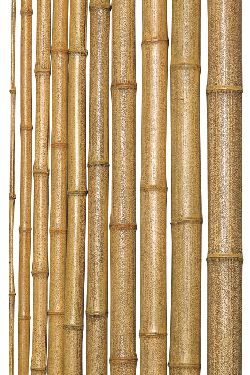 銘竹】晒竹・紋竹・図面丸竹・本煤竹・黒竹・女竹・寒竹・晒芽付竹