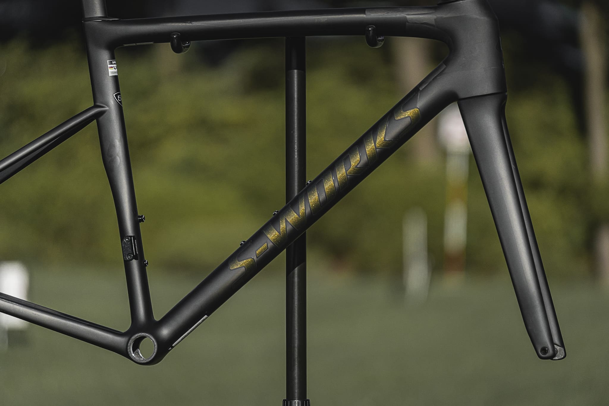 世界に一台Specialized リペイントフレーム