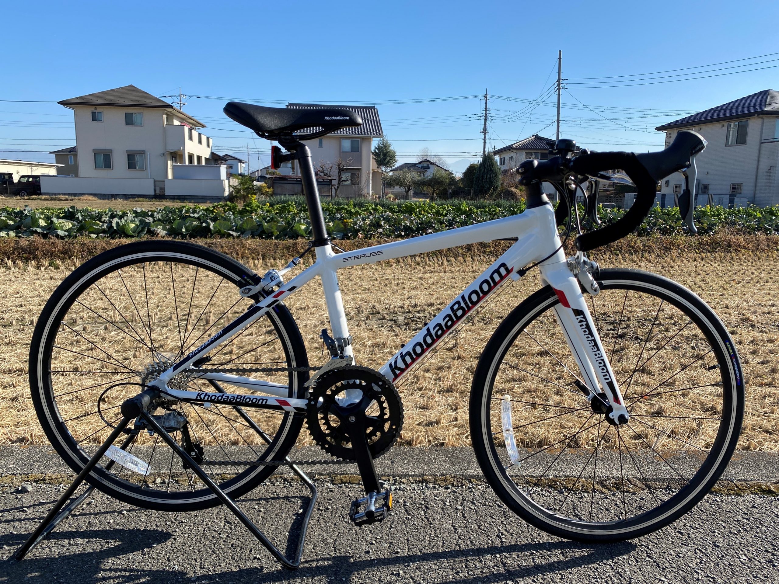 khodaabloom STRAUSS 24入荷しました！ - SpringWind230
