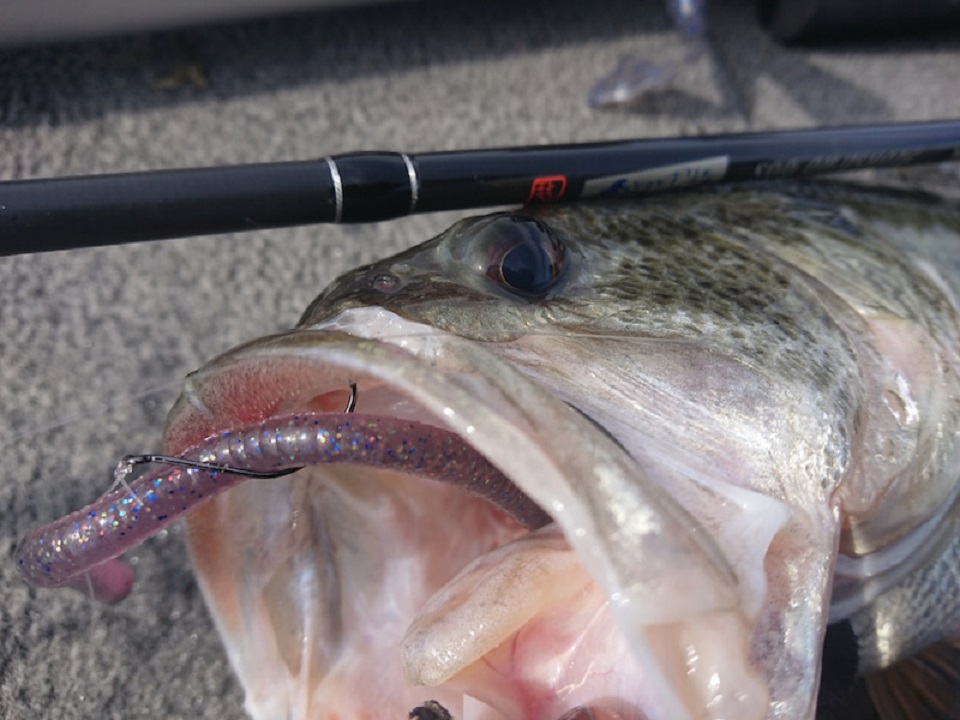 TULALA | Ford every stream | » Monstruo”ConceptDestruction” 66MLS