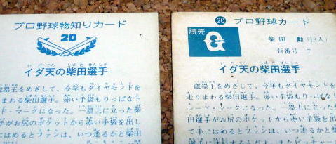 P102033311.jpg