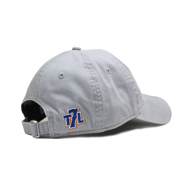 grey_dad_cap_back_600x.jpg?v=