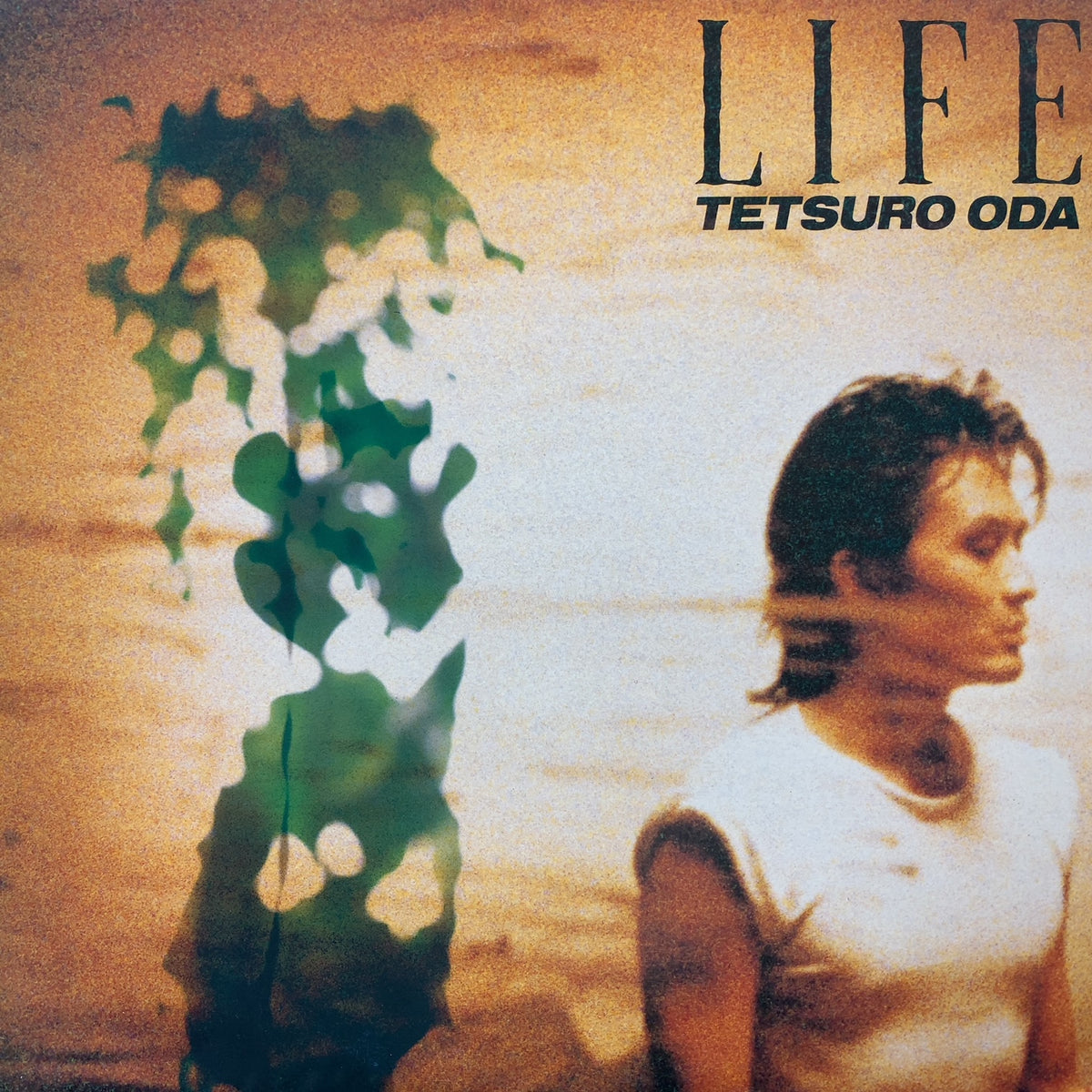 織田哲郎 / Life – TICRO MARKET