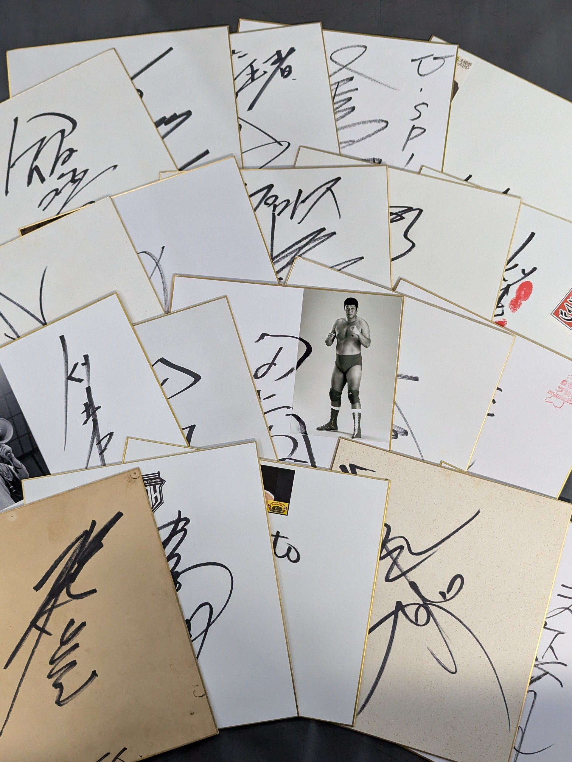 国内プロレスラー サイン色紙セット⑥ – 闘道館