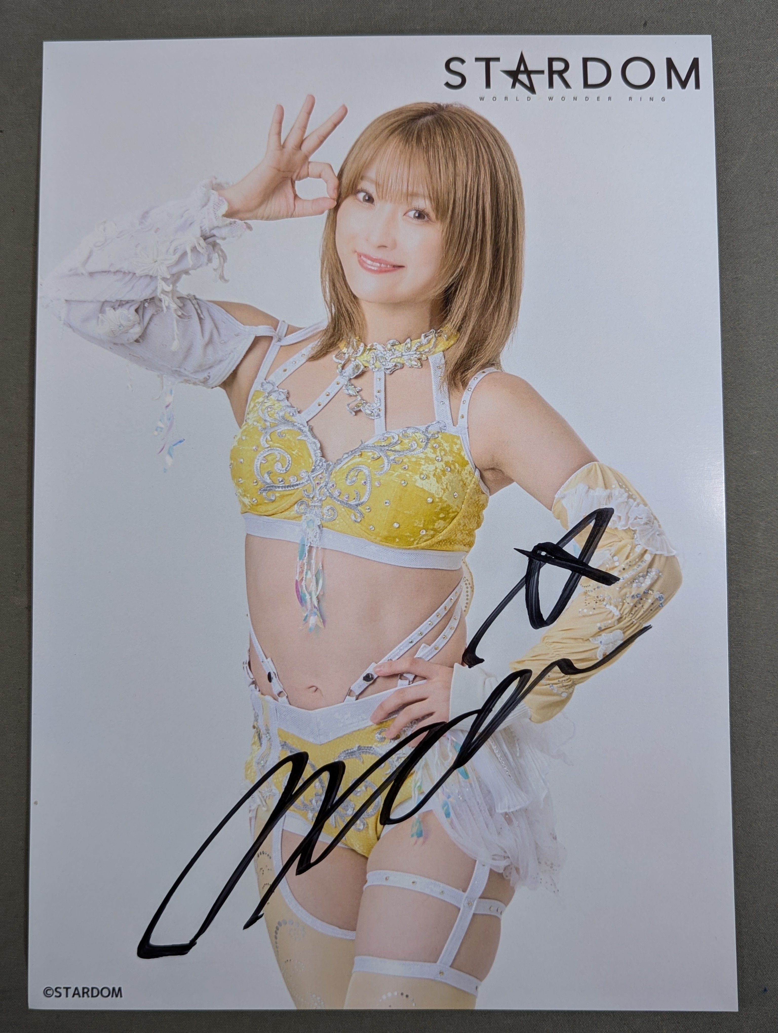 なつぽい 直筆サイン入り スターダムポートレート(P-4) – 闘道館