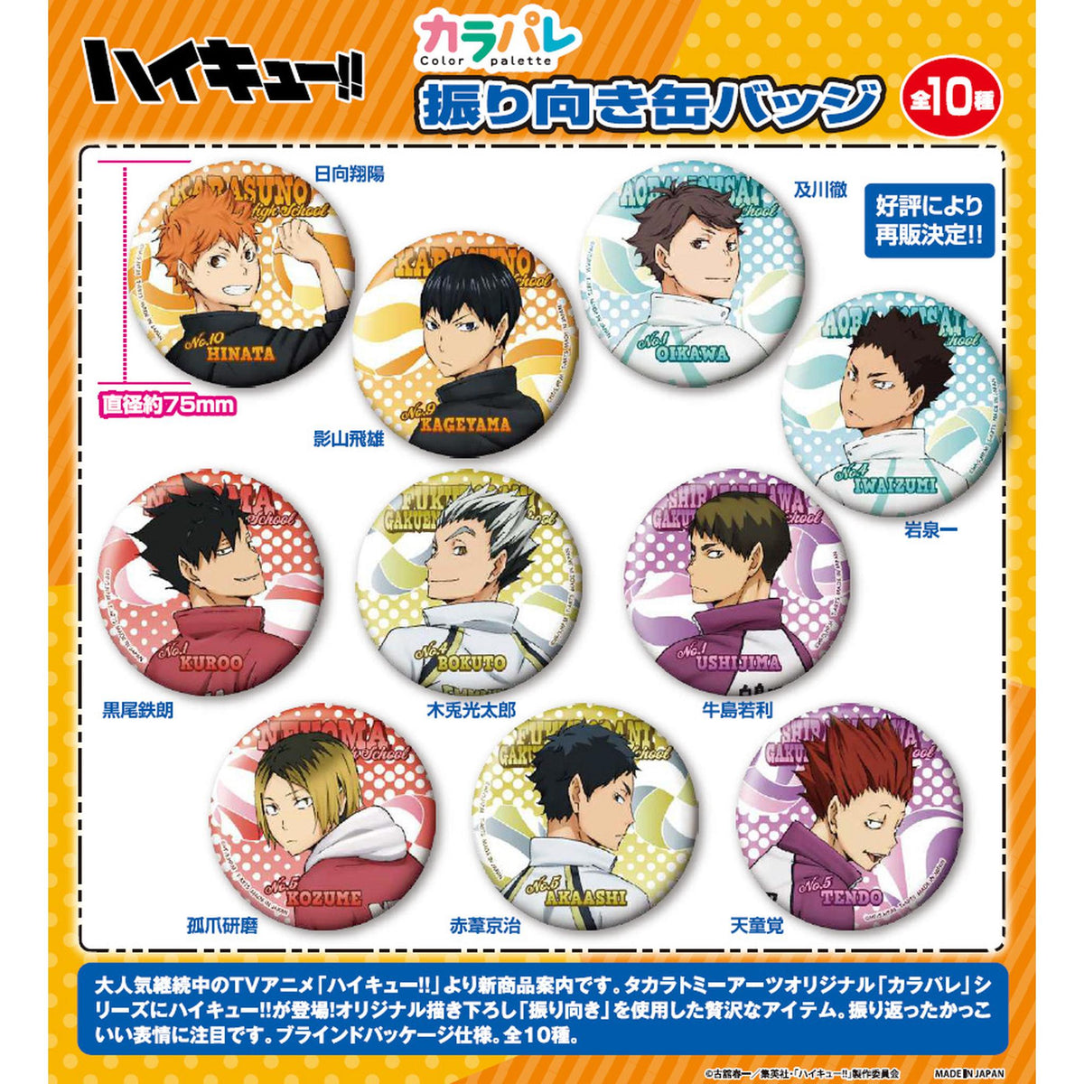 カラパレ ハイキュー!! より道 缶バッジ BOX商品 全10種 – Toys Store