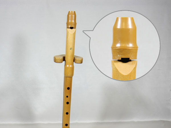 和楽器 ＞ アクセサリー ＞ 尺八ハードケースケース(尺八ケース) 2本用