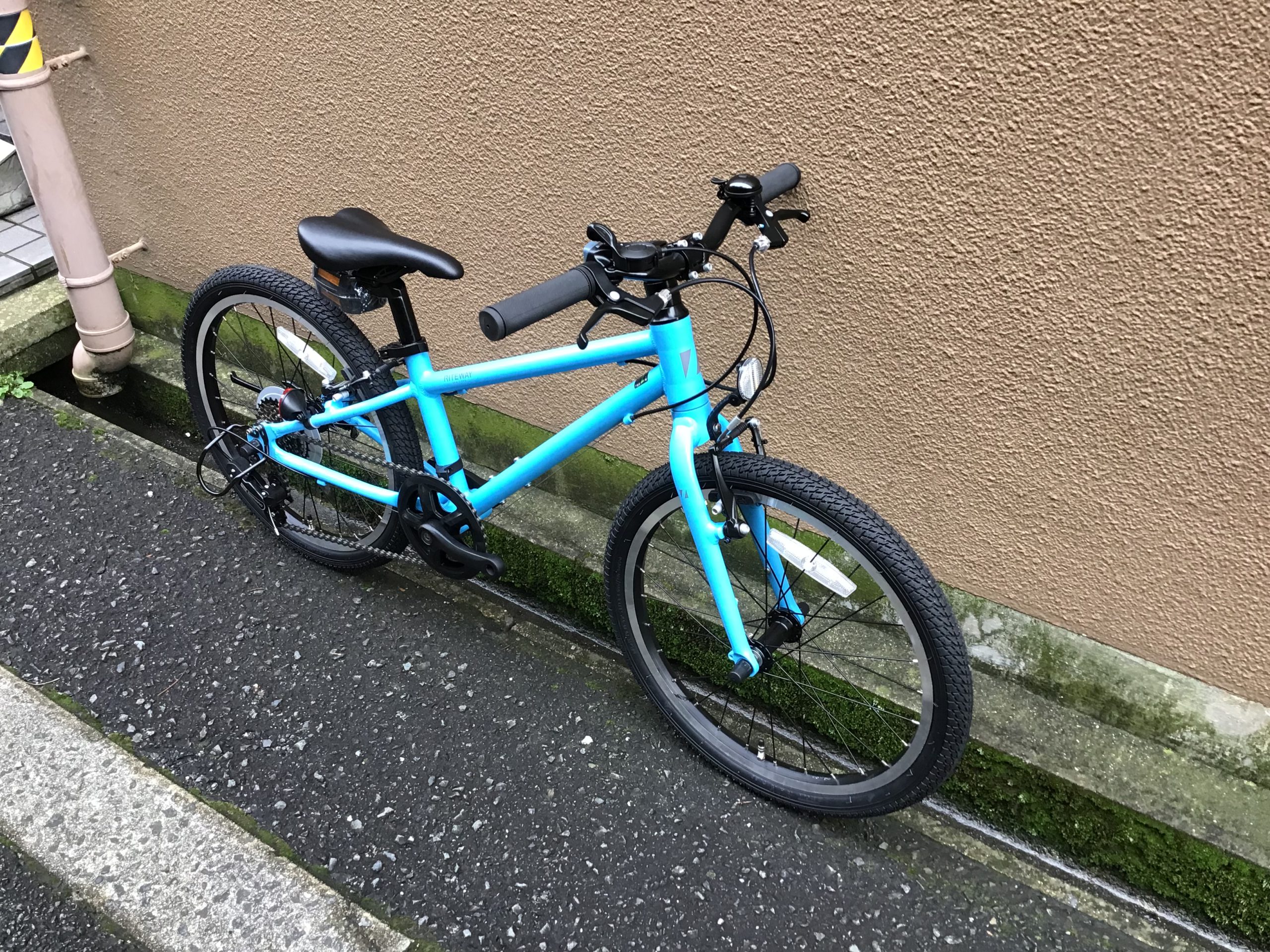 RITEWAY ZIT 20 キッズモデル スカイブルー | トモダサイクル 大阪