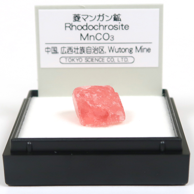 Pick up】ミニ鉱物標本｜化石販売・鉱物販売の東京サイエンス