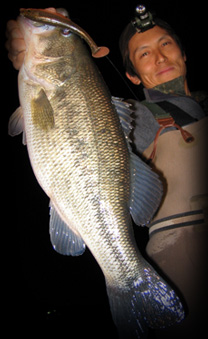 株式会社 常吉 TSUNEKICHI inc. | 製品情報 | ウオデス