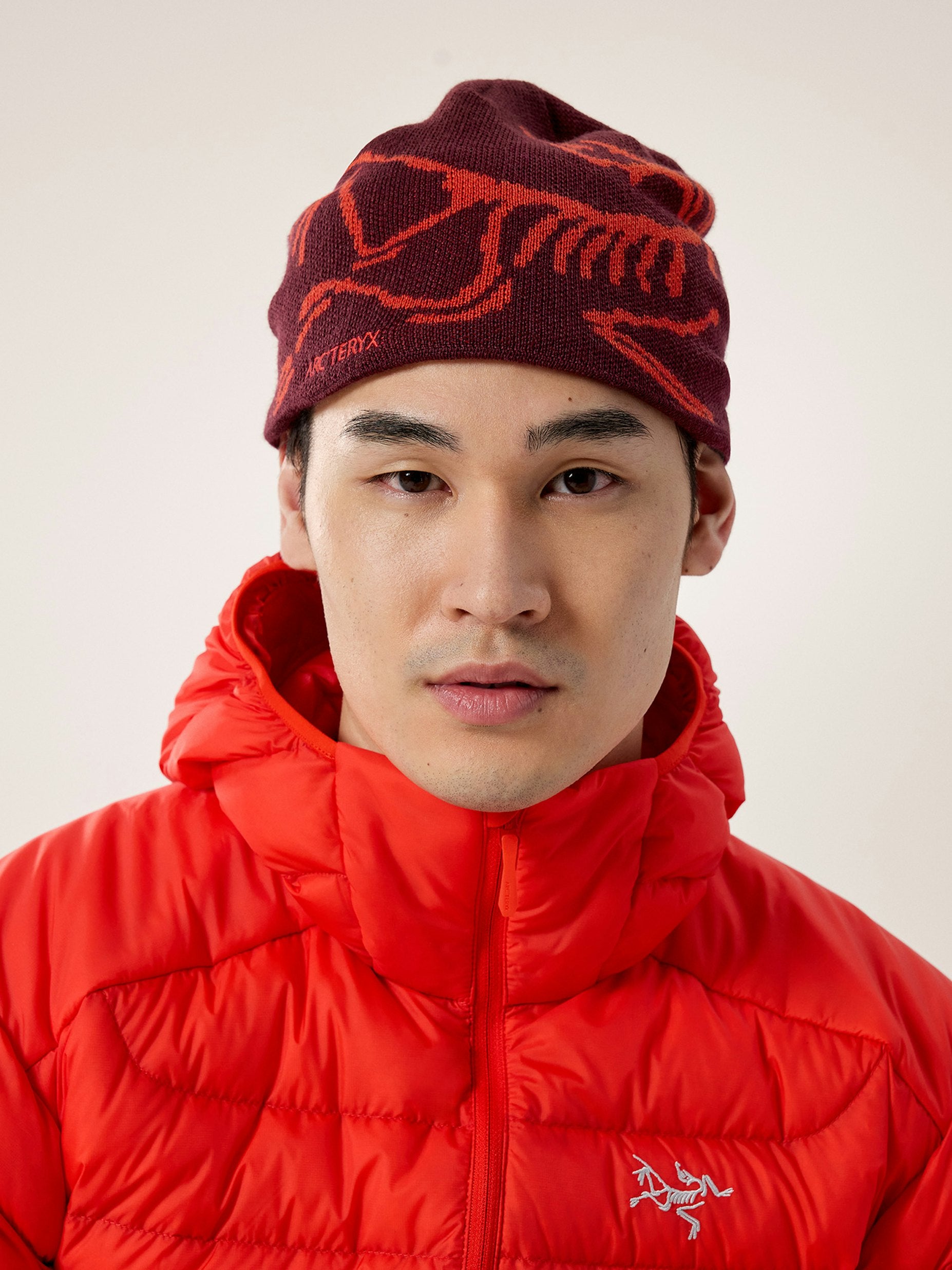 Arc'teryx Bird Head Toque | Wool Blend Beanie