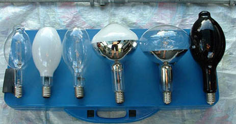 電気クワ馬鹿の灯火採集奮闘記