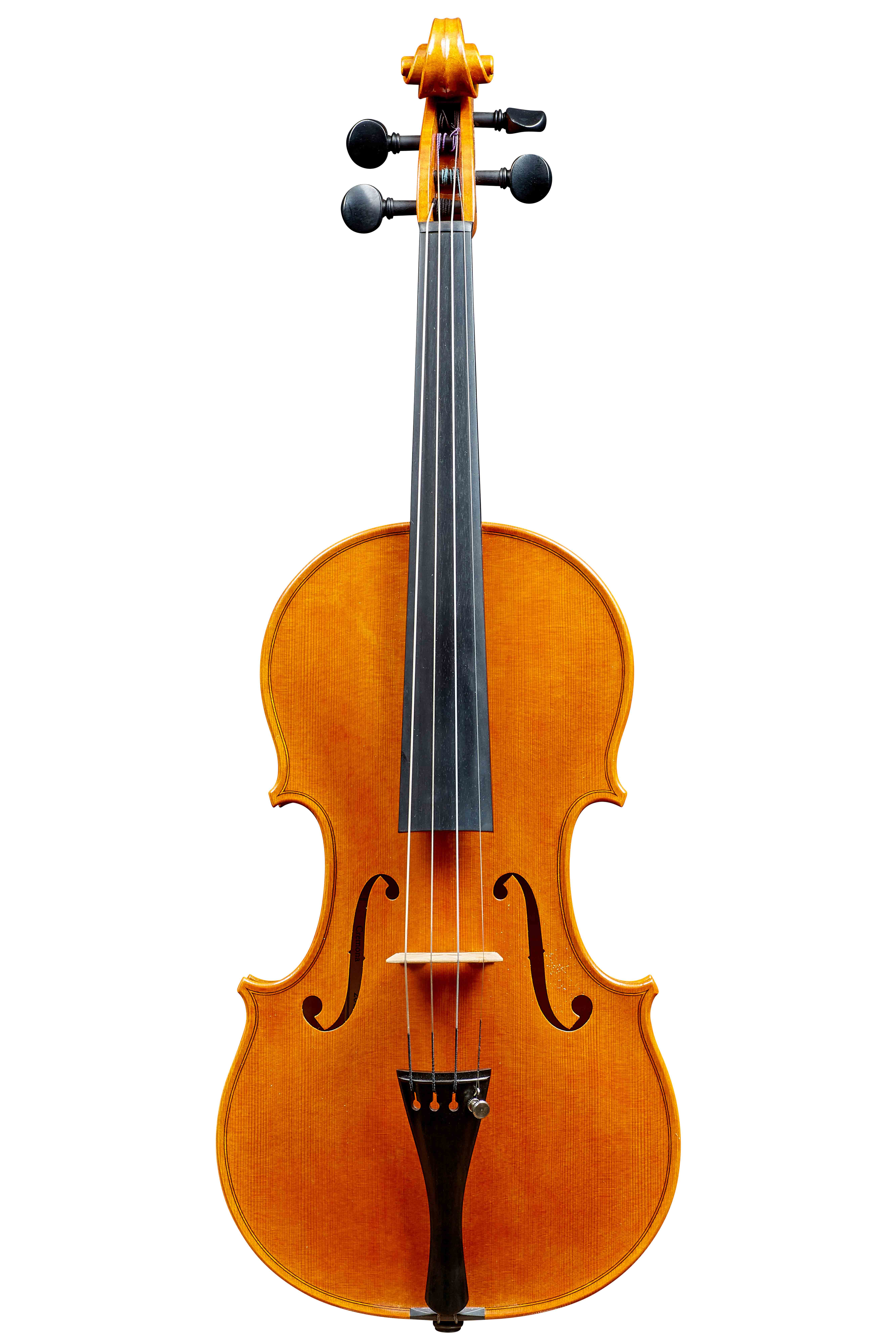 image1.jpg