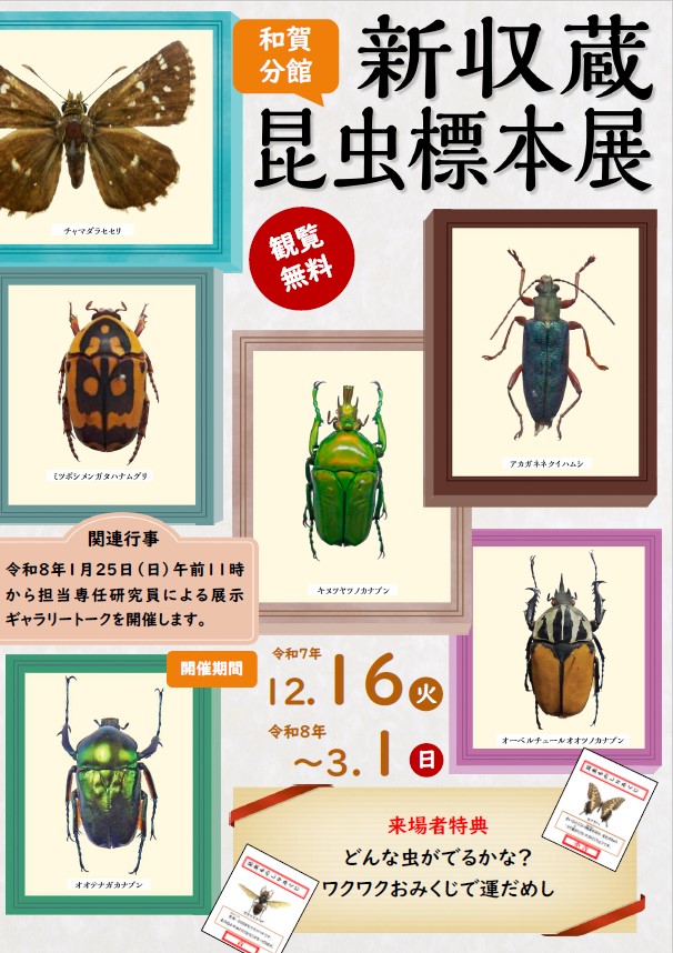 和賀分館企画展「新収蔵昆虫標本展」／北上市公式ホームページ