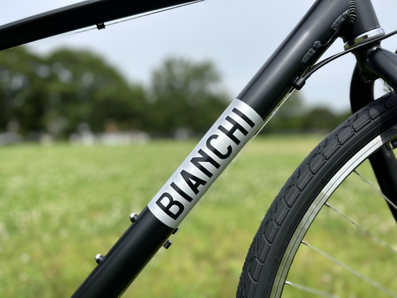30％OFF 対象車種】Bianchi Cortina | Climb cycle sports