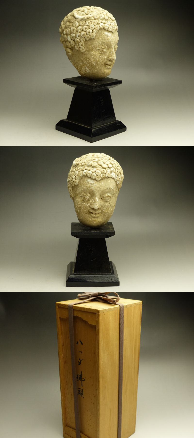 古美術 猫 - ガンダーラ ハッダ仏頭 | 古美術品専門サイト fufufufu.com