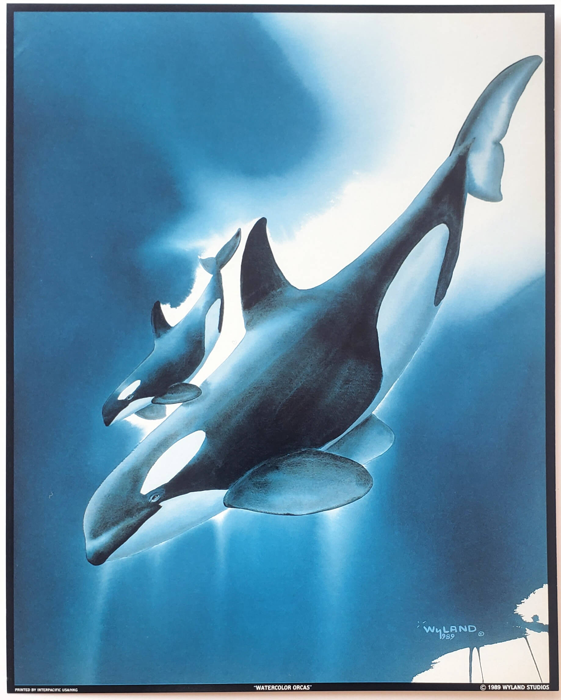 Wyland 