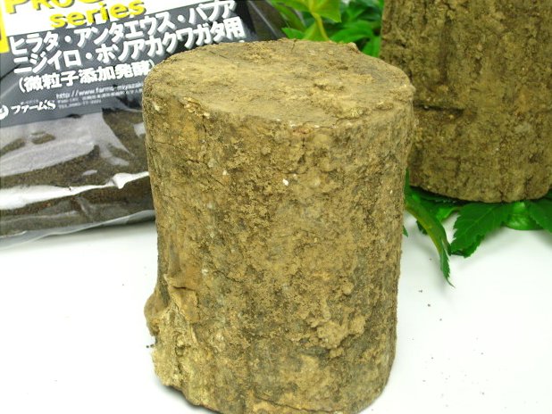 土埋めレイシ材(産卵木)の販売