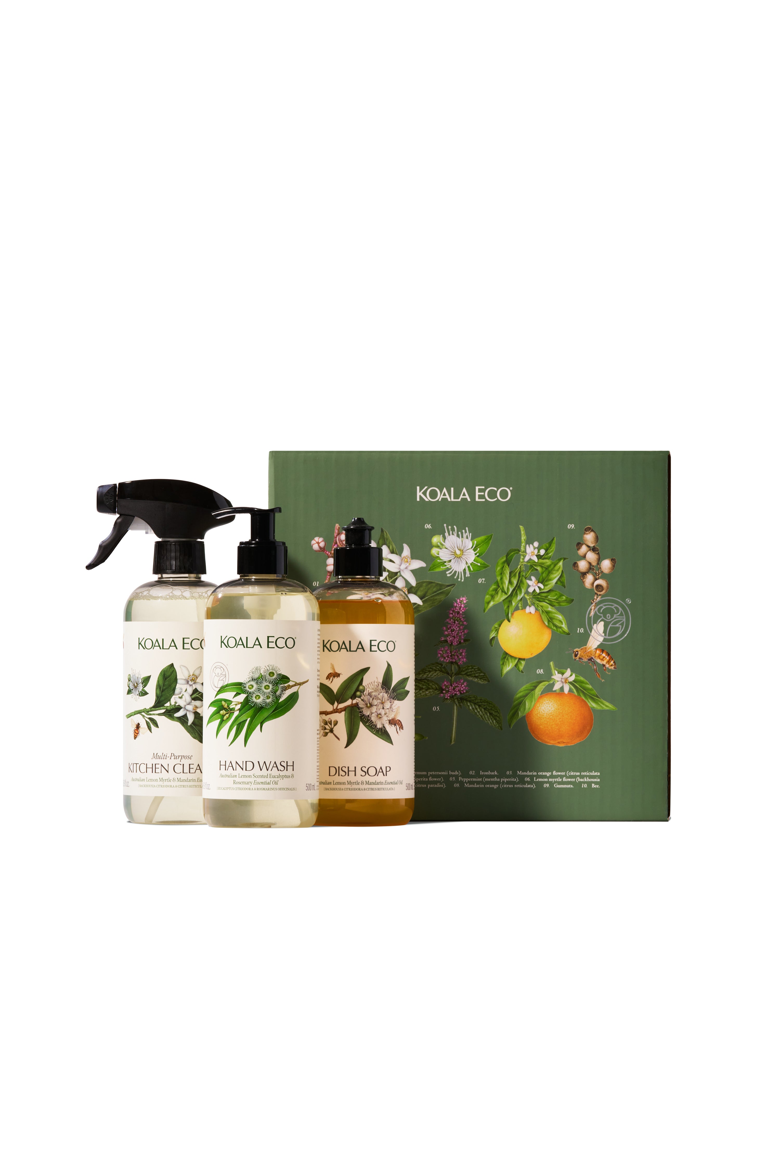 Nature Studies – Koala Eco USA