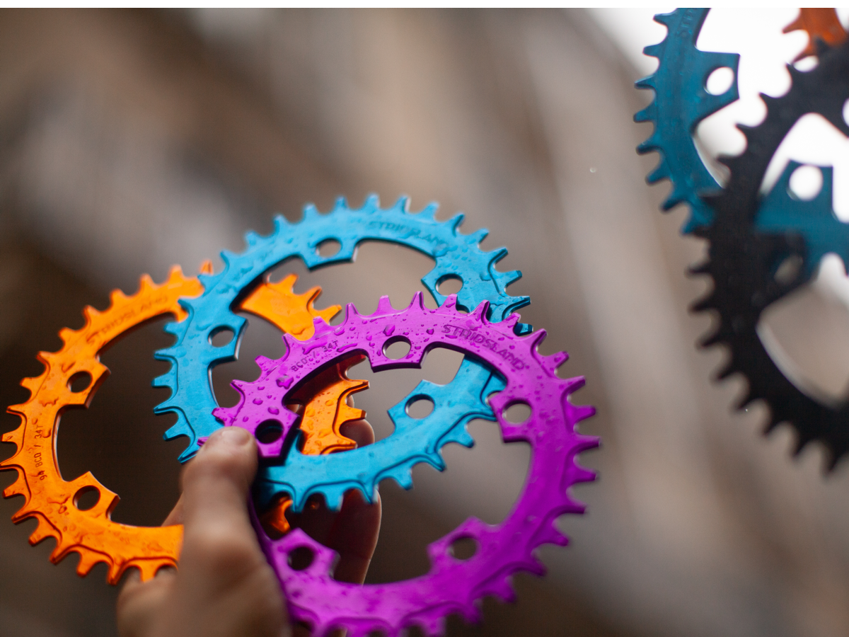 STRIDSLAND 94 BCD CHAINRING – La Chouette Paris