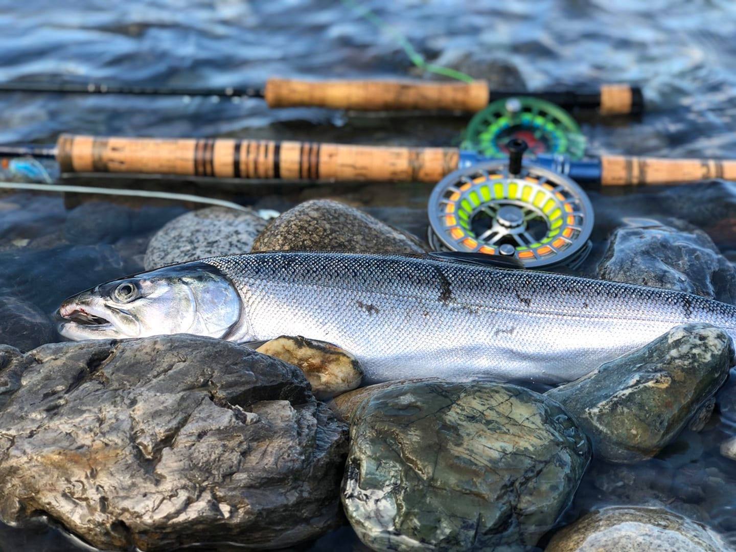 Sprint Expert Fully Sealed Fly Reel