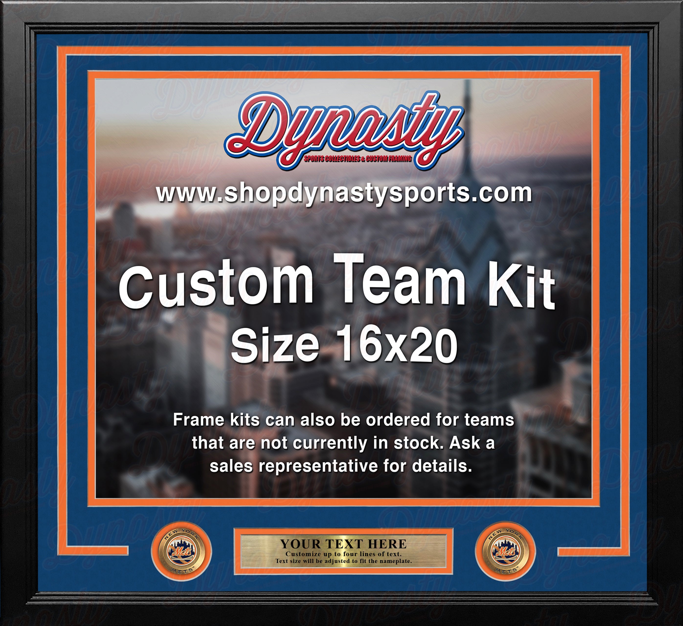 New York Mets Custom MLB Baseball 16x20 Picture Frame Kit